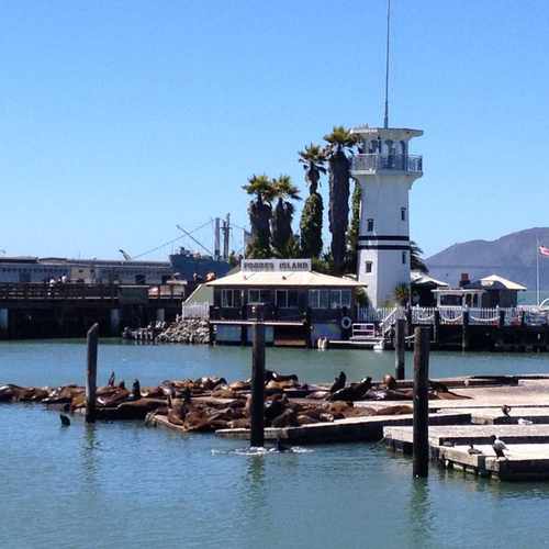 photo of Pier 39 at 39 Pier 39 Concourse San Francisco CA 94133