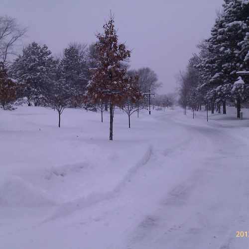 photo of Edina Promenade at 7298 York Avenue South Edina MN 55435