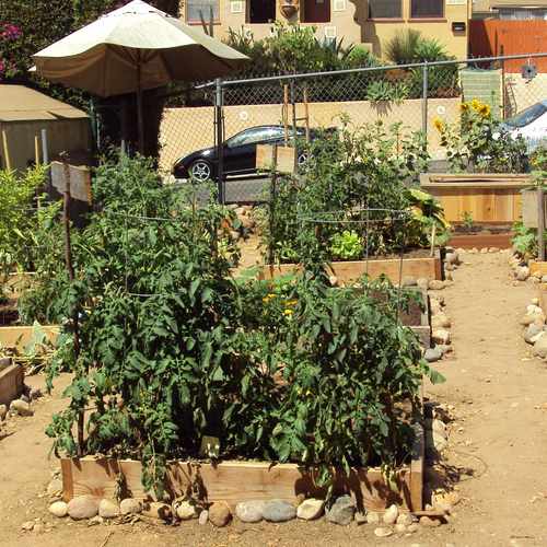 photo of Altadena Community Pocket Garden at 3245 32nd Street San Diego CA 92104