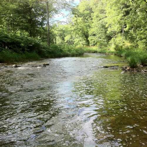 photo of Jacobsburg State Park at 267 Belfast Road Wind Gap PA 18091