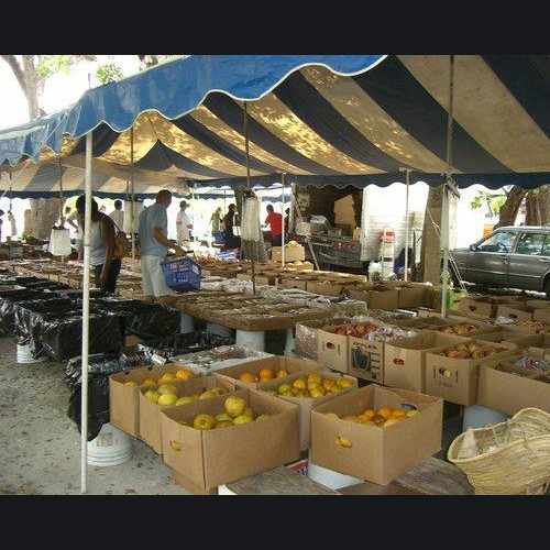 photo of Coconut Grove Saturday Organic Market at 3300 Grand Avenue Miami FL 33133