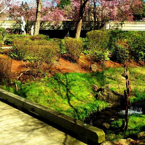 photo of Over A Stream at 5505 Lake Washington Boulevard Northeast Kirkland WA 98033