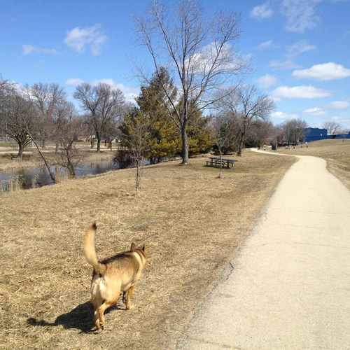 photo of Quann Park Dog Park at 1938 Expo Way Madison WI 53713