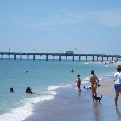 photo of Venice Dog Beach at 1600 Harbor Drive South Venice FL 34285