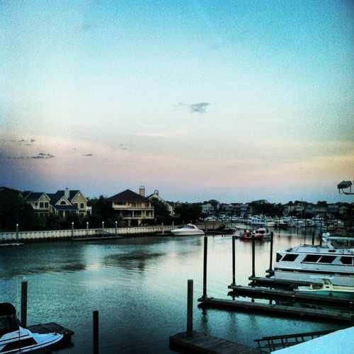photo of Isle of Palms Marina at 50 41st Avenue Isle of Palms SC 29451