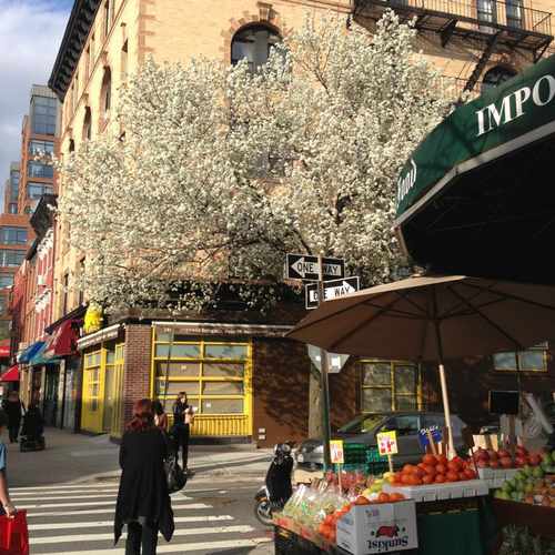 photo of Pacific Green Gourmet at 151 Court Street Brooklyn NY 11201