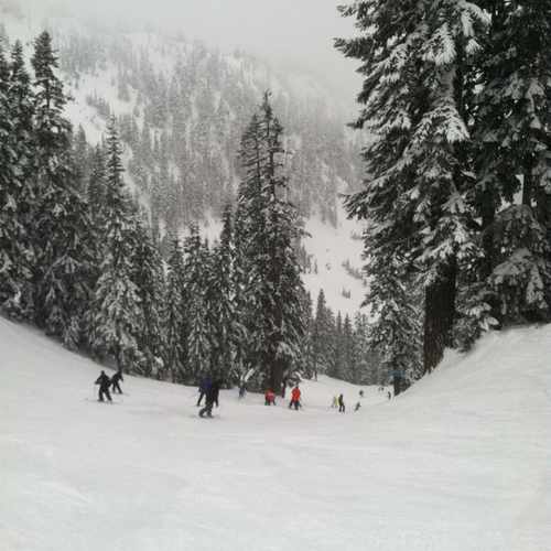 photo of Stevens Pass at U.S. 2 Skykomish WA 98288
