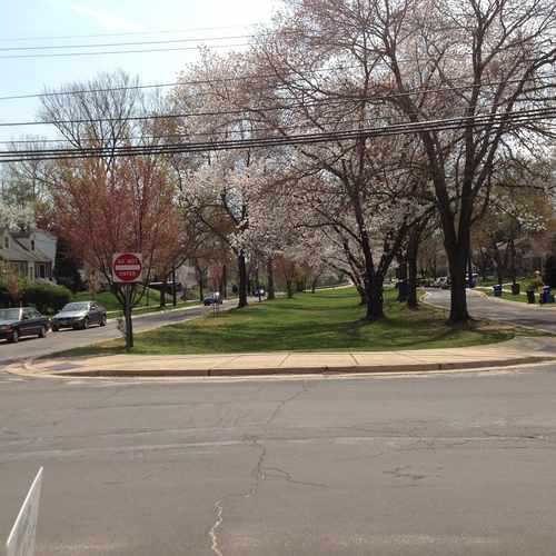 photo of Bull Run Parkway at 9411 Bulls Run Parkway Bethesda MD 20817