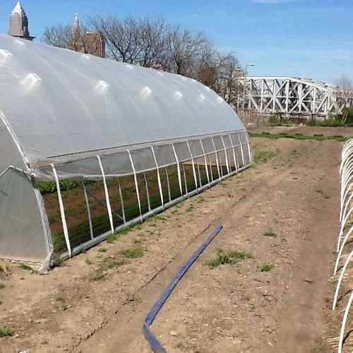 photo of Ohio City Farmers Gardens at 2352 Bridge Avenue Cleveland OH 44113
