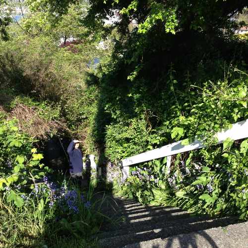 photo of Urban stairs at 4318 Greenwood Avenue North Seattle WA 98103