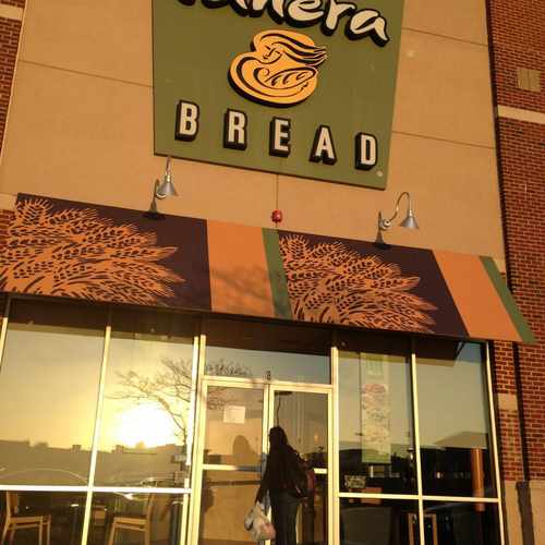 photo of Panera Bread at 95 Allstate Road Boston MA 02125