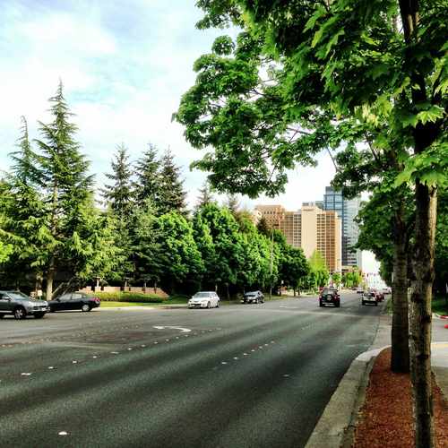 photo of Bellevue Way at 1305 Bellevue Way Northeast Bellevue WA 98004