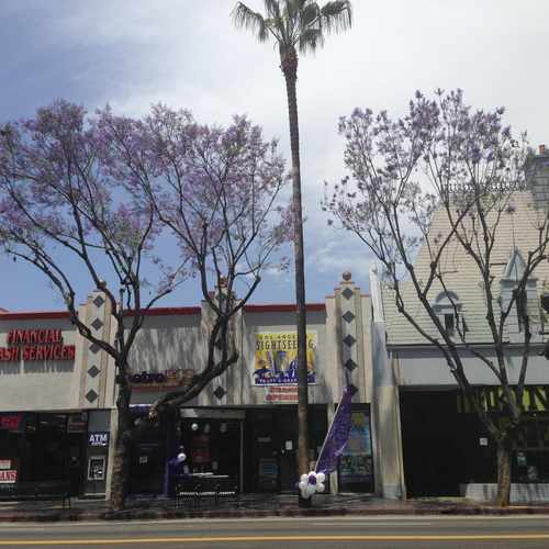 photo of Hollywood Walk of Fame at 6708 Hollywood Boulevard Los Angeles CA 90028