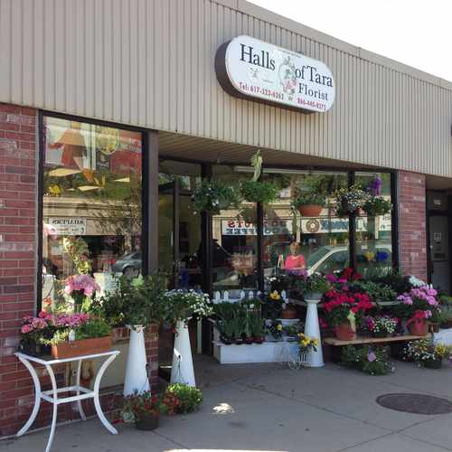 photo of Halls of Tara Florist at 2051 Centre St Boston MA 02132
