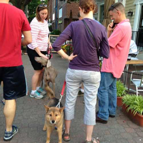 photo of Dog Friendly at 205 East Del Ray Avenue Alexandria VA 22301