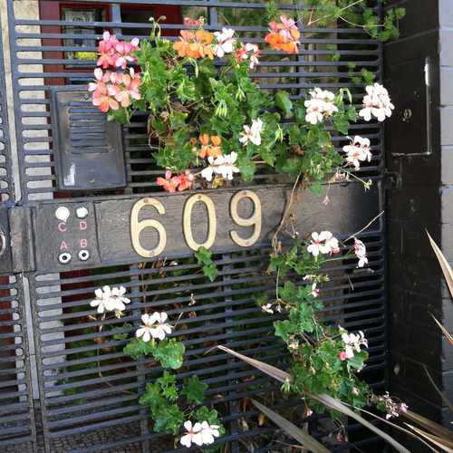 photo of Castro St & 19th St at 4076 19th Street San Francisco CA 94114