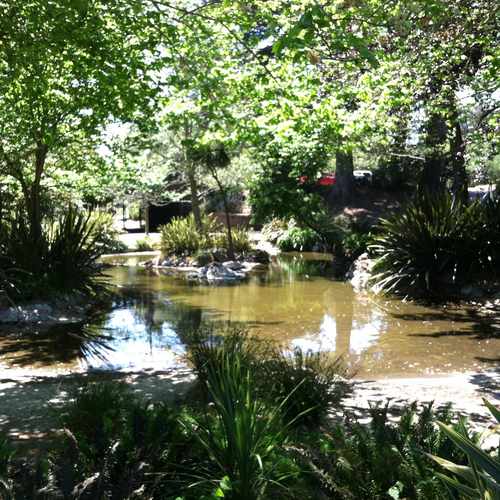 photo of Golden Gate Park at 749 Stanyan Street San Francisco CA 94117