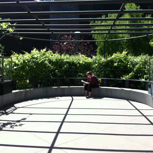photo of de Young Museum at 50 Hagiwara Tea Garden Drive San Francisco CA 94118