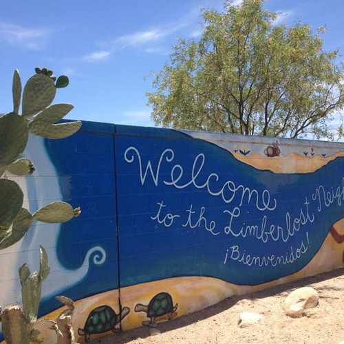 photo of Limberlost Neighborhood Mural at 4026 North Stone Avenue Tucson AZ 85705