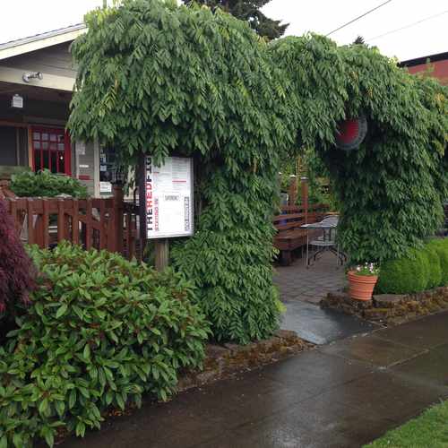 photo of Red Fig at 4537 Northeast Fremont Street Portland OR 97213