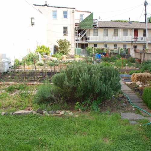 photo of Community Garden at 2127 East Pratt Street Baltimore MD 21231
