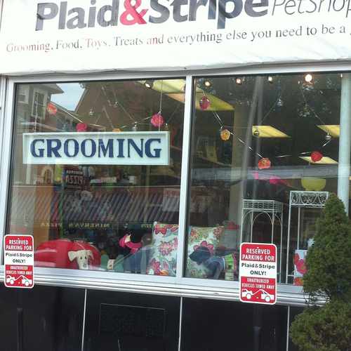 photo of Plaid & Stripe Pet Grooming at 234 Wayland Avenue Providence RI 02906