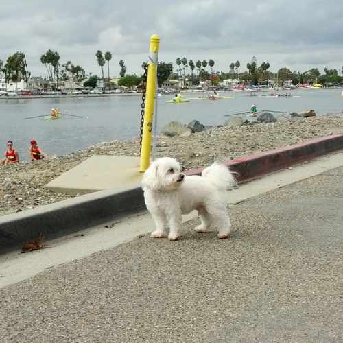 photo of Marine Stadium Park at 5255 East Paoli Way Long Beach CA 90803
