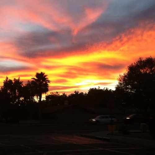 photo of Mesa Sunset at 708 North Alma School Road Mesa AZ 85201
