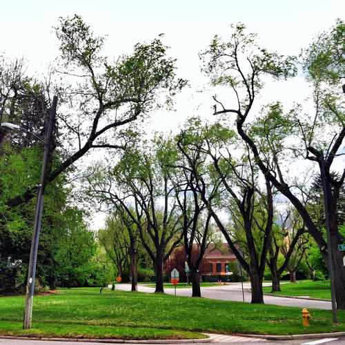 photo of E Exposition Ave & Belcaro Dr at 3200 Belcaro Drive Denver CO 80209