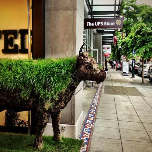 photo of Eat Local at 516 Broadway East Seattle WA 98102