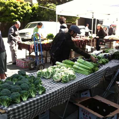 photo of Fillmore Farmer's Market at 1509 Fillmore Street San Francisco CA 94115