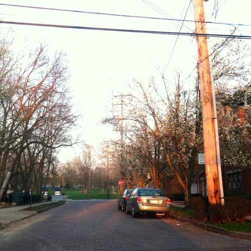 photo of Poplar Ave Columbus, Ohio at 299 West Poplar Avenue Columbus OH 43215