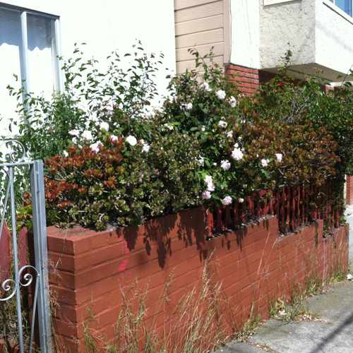 photo of Balboa & 26th Avenue at 638 26th Avenue San Francisco CA 94121