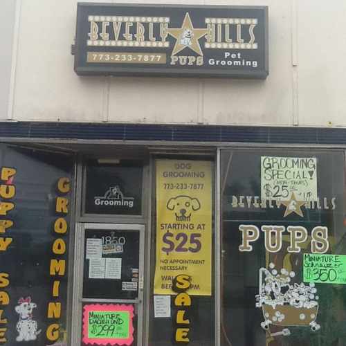 photo of Beverly Hills Pups at 1850 West 95th Street Chicago IL 60643