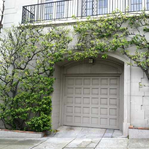 photo of Walnut & Washington at 3441 Washington Street San Francisco CA 94118