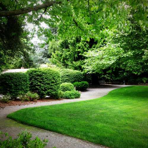 photo of McCormick Park at 11190 Northeast 12th Street Bellevue WA 98004