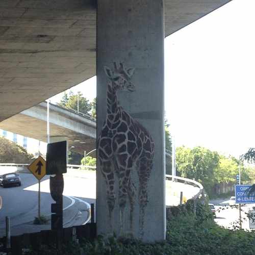 photo of Giraffes, Public Art at Harrison Street Piedmont CA 94610