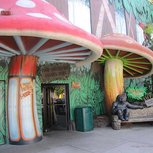 photo of Rainforest Cafe at 605 North Clark Street Chicago IL 60654