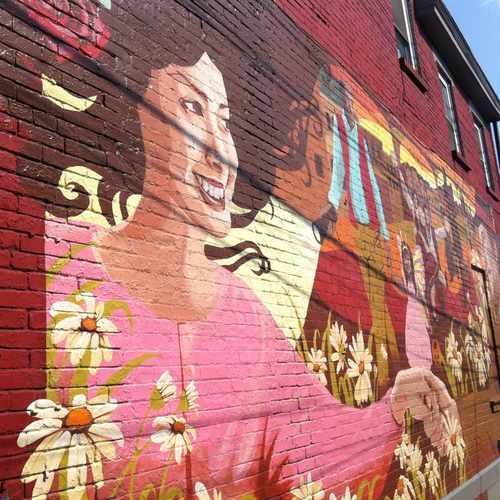 photo of Cedarvile Street Mural at 218 Cedarville Street Pittsburgh PA 15224