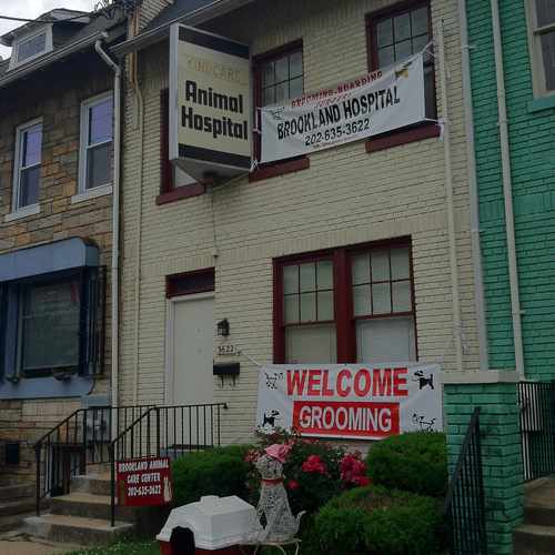 photo of Kindcare Animal Hospital at 3622 12th Street Northeast Washington DC 20017
