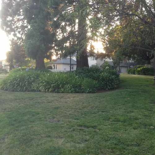 photo of Longridge & Grosvener Corner Park at 811 Paramount Road Oakland CA 94610