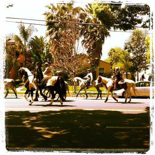 photo of Burbank Rancho Neighborhood at 999 West Oak Street Burbank CA 91506