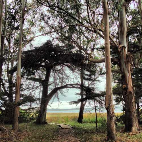photo of Sweet Springs Natural Reserve at 1546 3rd Street Baywood-Los Osos CA 93402