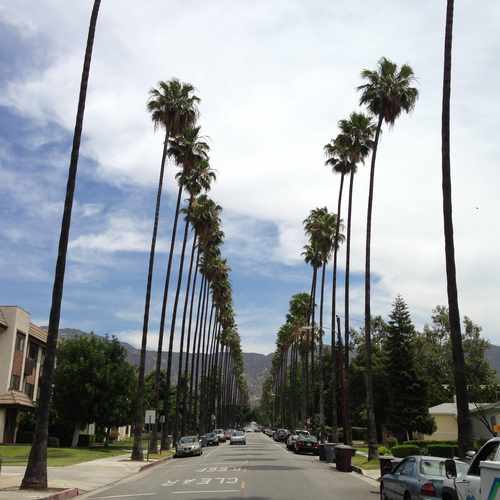 photo of Glenoaks Blvd at 1226 West Glenoaks Boulevard Glendale CA 91201