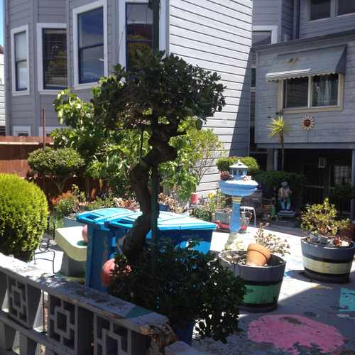 photo of St Joseph's Ave at 1005 Baker Street San Francisco CA 94115