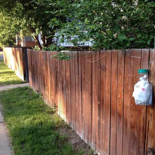 photo of Near W 33rd Ave & Perry St at 3268 Perry Street Denver CO 80212