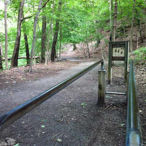 photo of Coldspring Park Lifecourse Exercise Trail at 1 Puritan Road Newton MA 02461