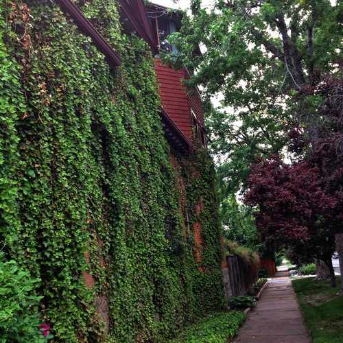 photo of Near E Center Ave & S Pearl St at 635 South Pearl Street Denver CO 80209