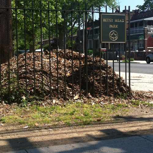 photo of Betsy Head Pool at 694 Thomas S Boyland Street Brooklyn NY 11212