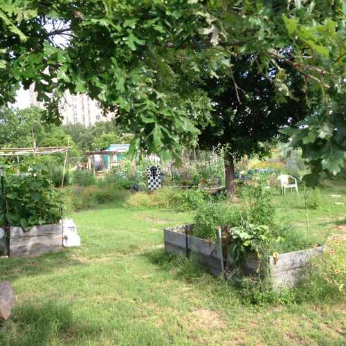 photo of Festival Beach Community Garden at 1104 Clermont Avenue Austin TX 78702